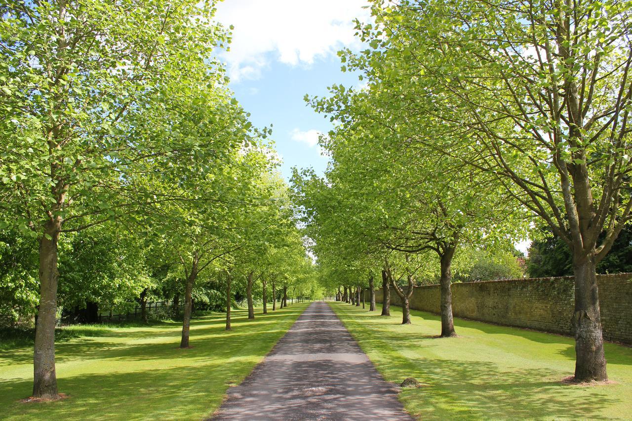 Chippenham Park Garden Rooms Esterno foto
