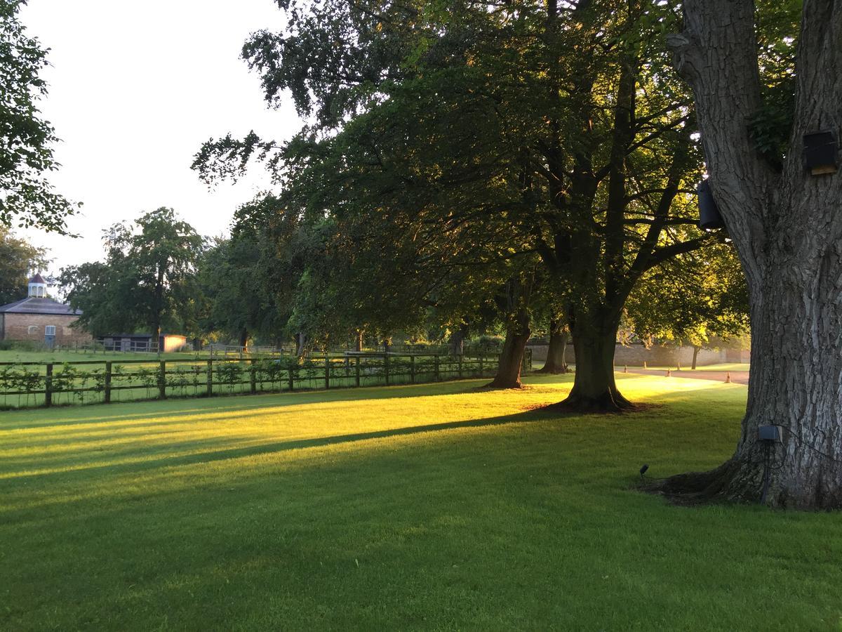 Chippenham Park Garden Rooms Esterno foto